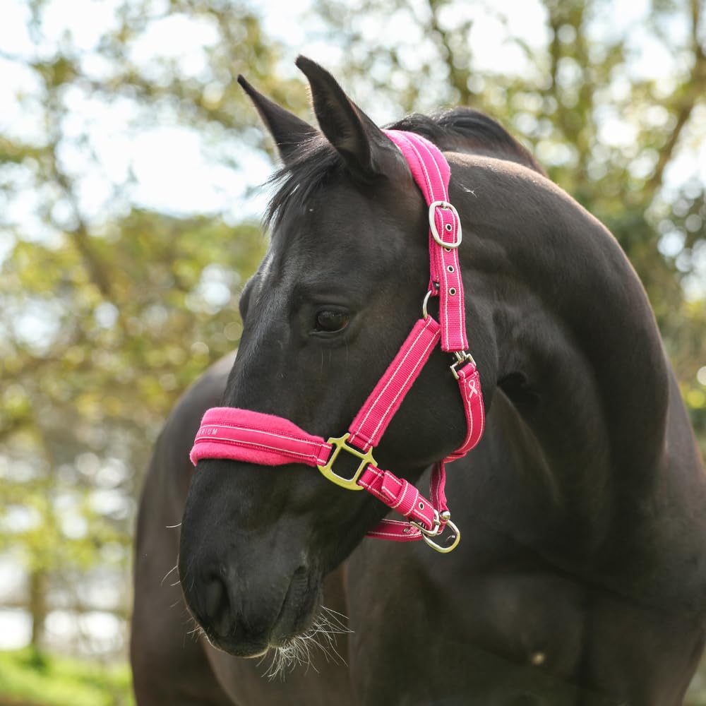 equilibrium Stellar Style Safety Headcollar (Pink, XS)