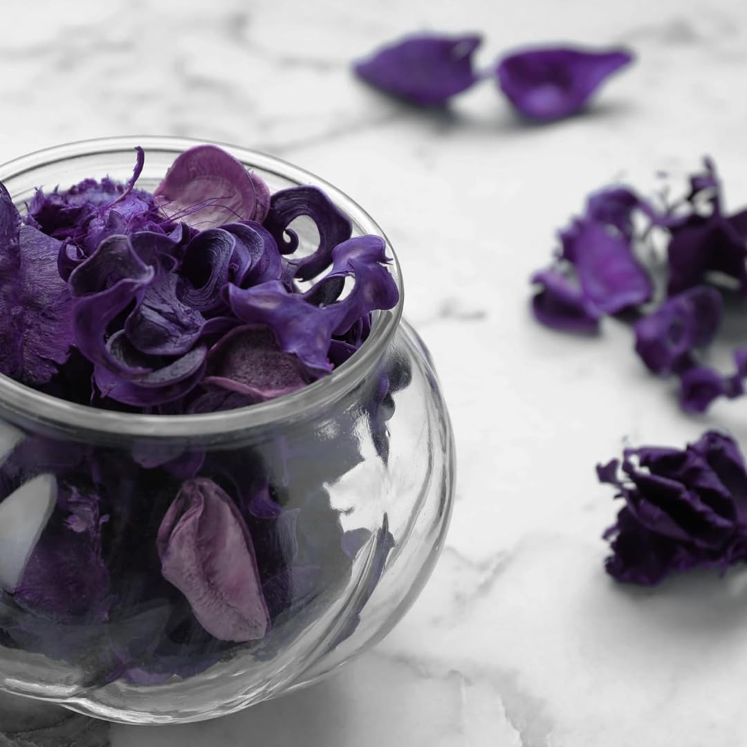 PARENCE. Pot Pourri Lavande 140g Parfum d'Ambiance