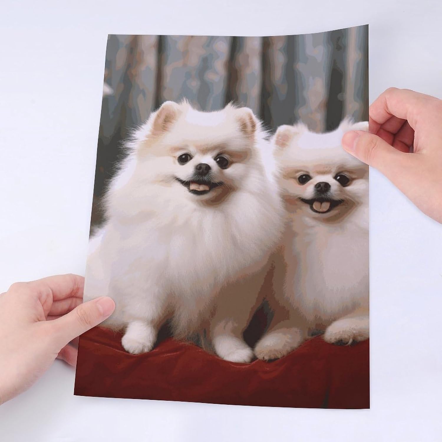 Cute Stickers Waterproof Funny Short-haired Pomeranian Dog Stickers for Water Bottles Laptop Decor