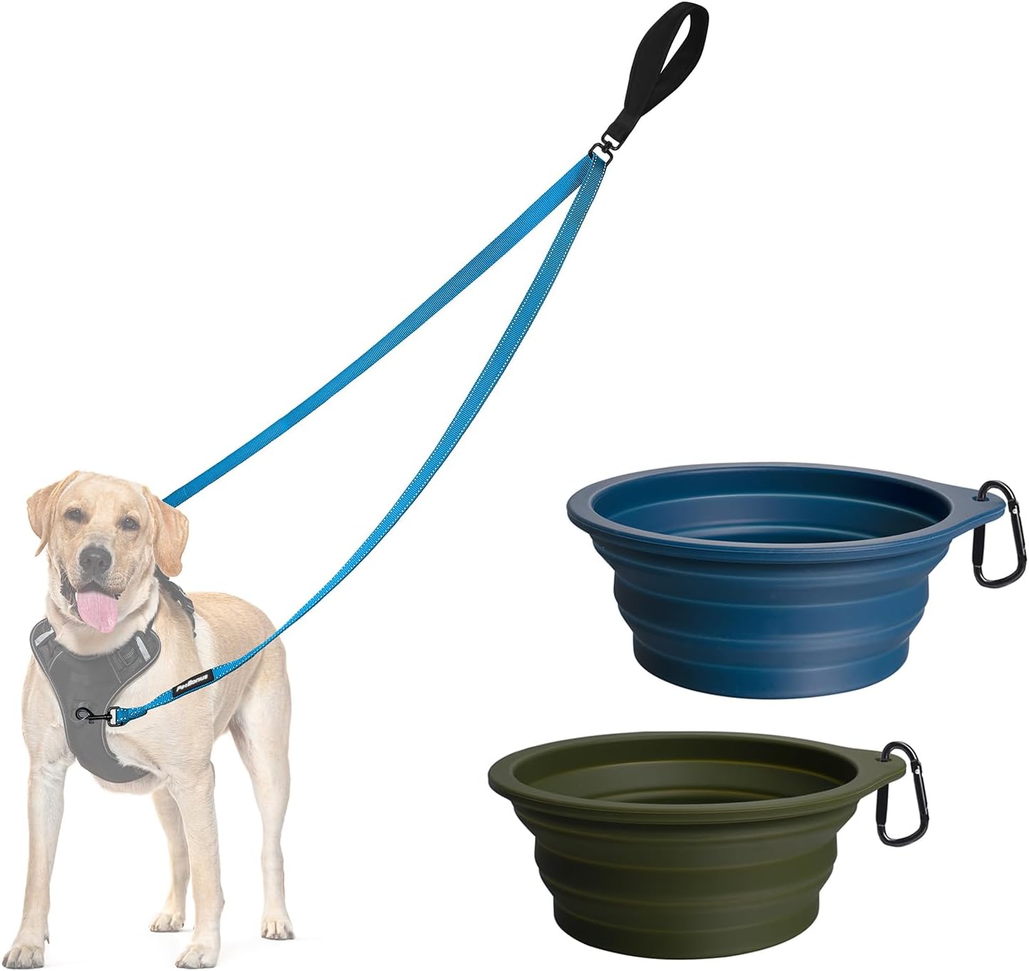 PetBonus Two Point Control Dog Leash and 2-Pack Large Silicone Collapsible Dog Bowls