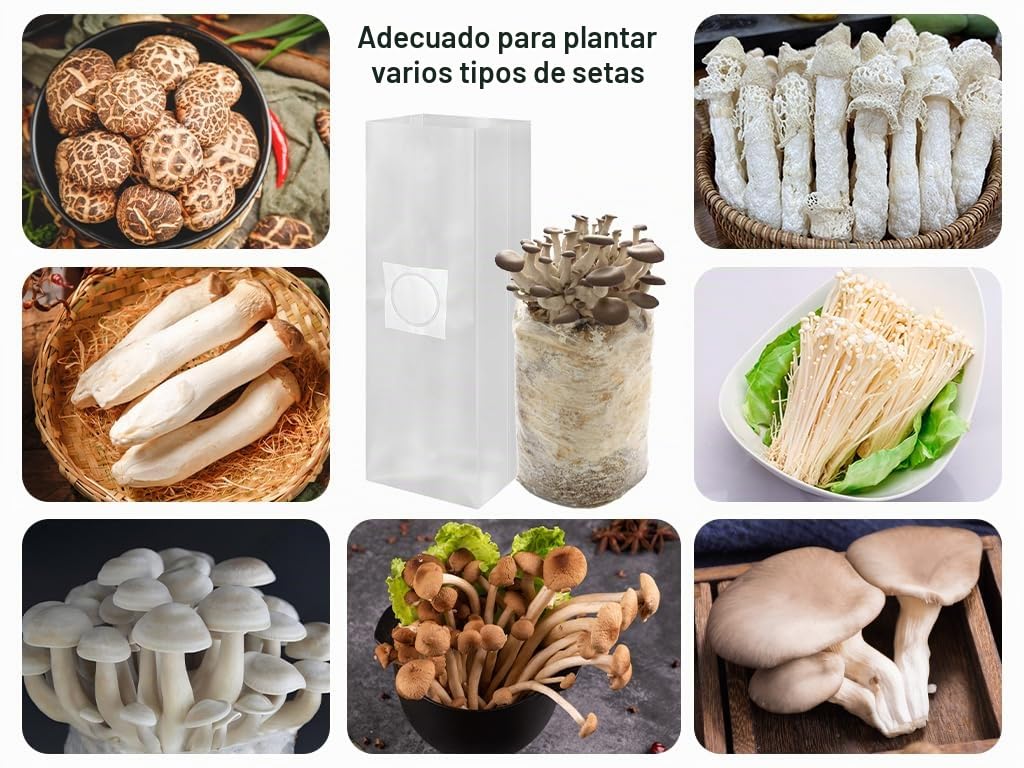 Bolsas De Cultivo De Hongos 50 Unidades 18x35 Cm – Transparentes Con Filtro De Aire, Ideales Para Setas Y Granos
