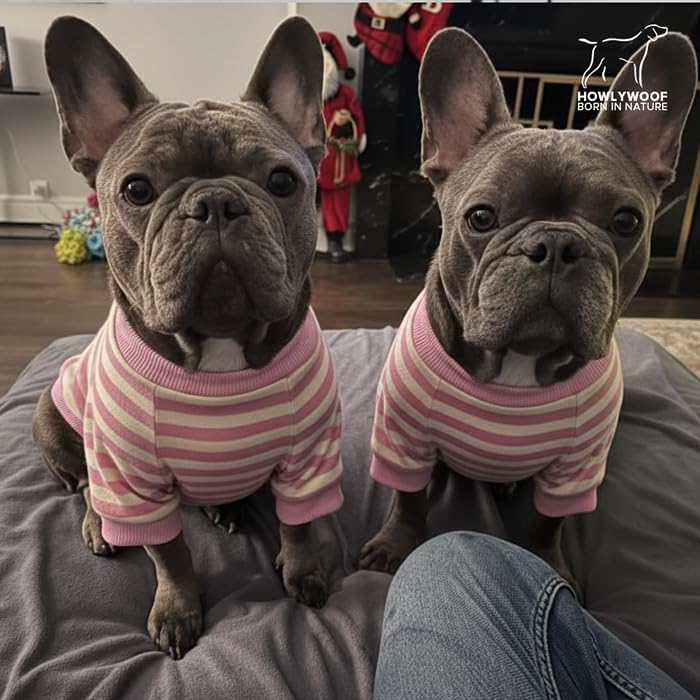 Suéter rayado para perros bulldog XL miniatura 5