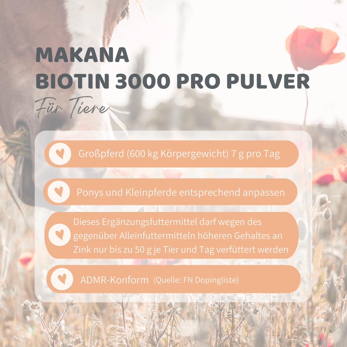 Makana Biotin 3000 PRO Pulver für Tiere, 2 x 1000 g Beutel
