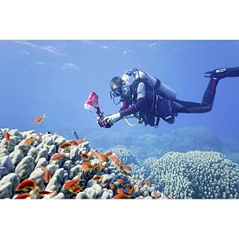 OLYMPUS - オリンパス PT-058 防水プロテクター PT058 TG-5 TG5 基本情報｜防水プロテクター PT-059｜防水プロテクター（水中