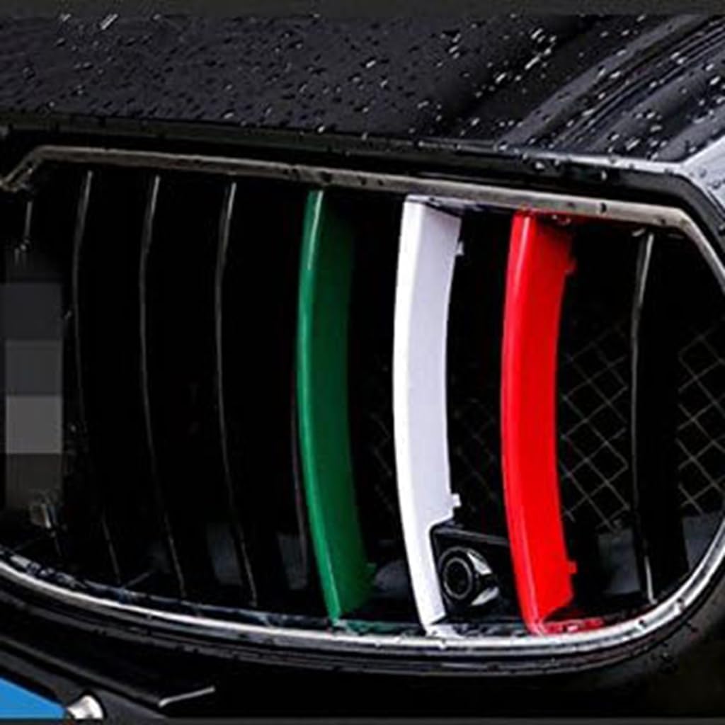 Grille Insert Compatible with Maserati Quattroporte 2013-2021 Front Grill Decorative Garnish Trim Insert Cover Multi Color ABS Plastic