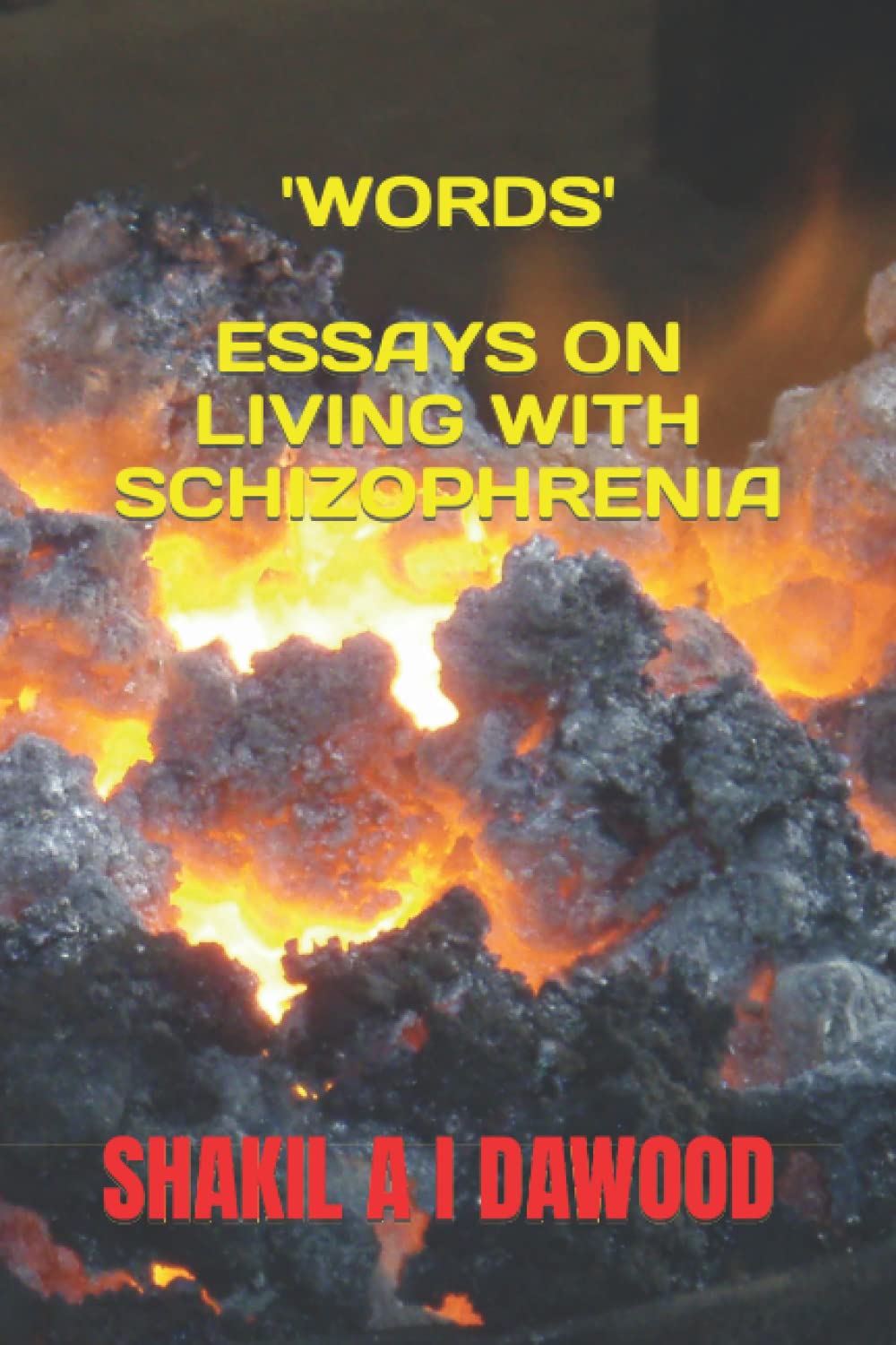 WORDS: ESSAYS ON LIVING WITH SCHIZOPHRENIA (MENTAL HEALTH SERIES)