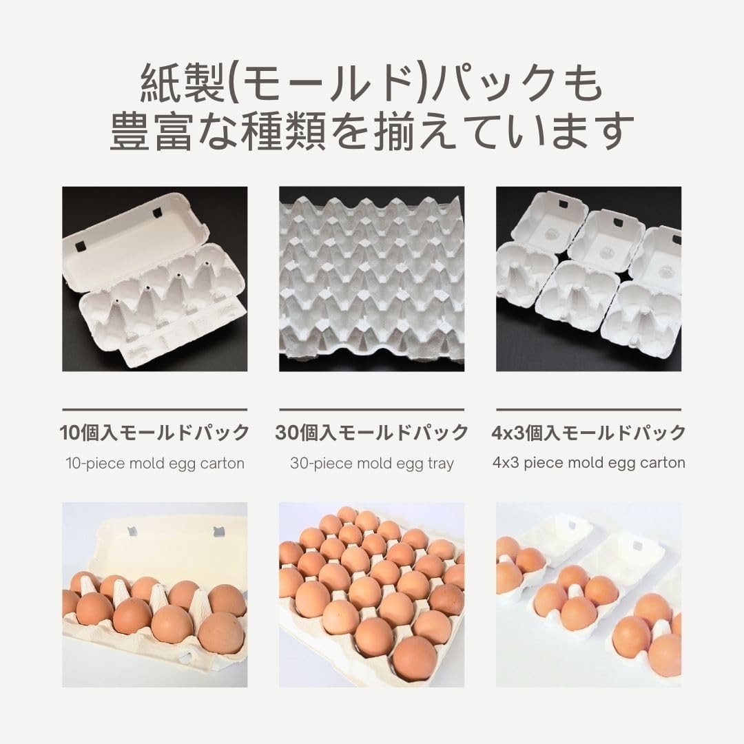 Amazon.co.jp: 10個入たまごパック レギュラーL 100枚 : ホーム＆キッチン