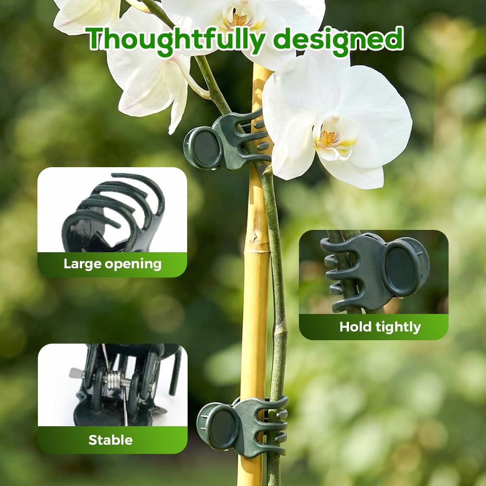 Supporti per Piante. Clip for Piante rampicanti, Orchidee, pomodori, cetrioli, Viti - 100/200/300 Pezzi(300PC)