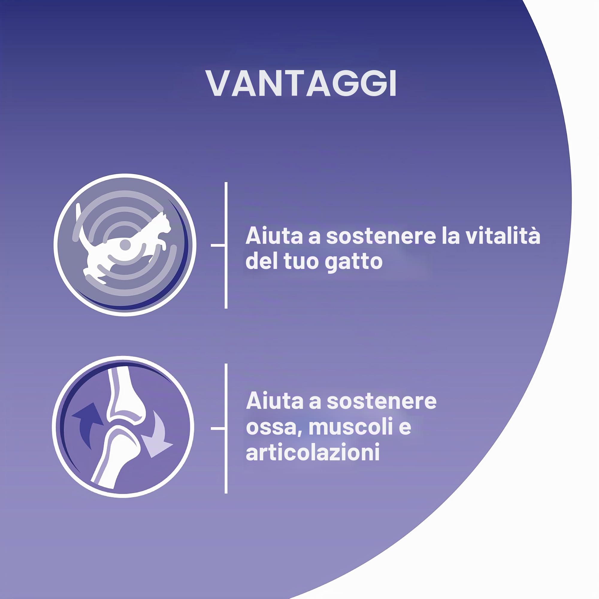 Purina ONE Alimenti per gatti per adulti, 8 x 85 g, confezione da 5, confezione da 5