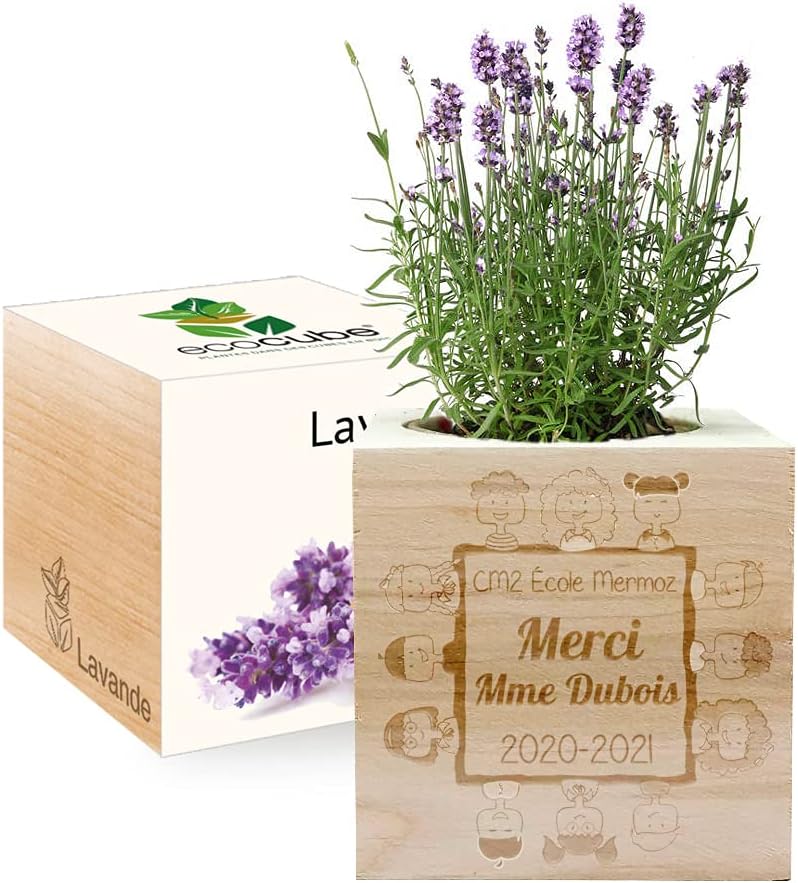 Ecocube Gravé Amour Infini (Trèfle À 4 Feuilles)[u653] - Jardin