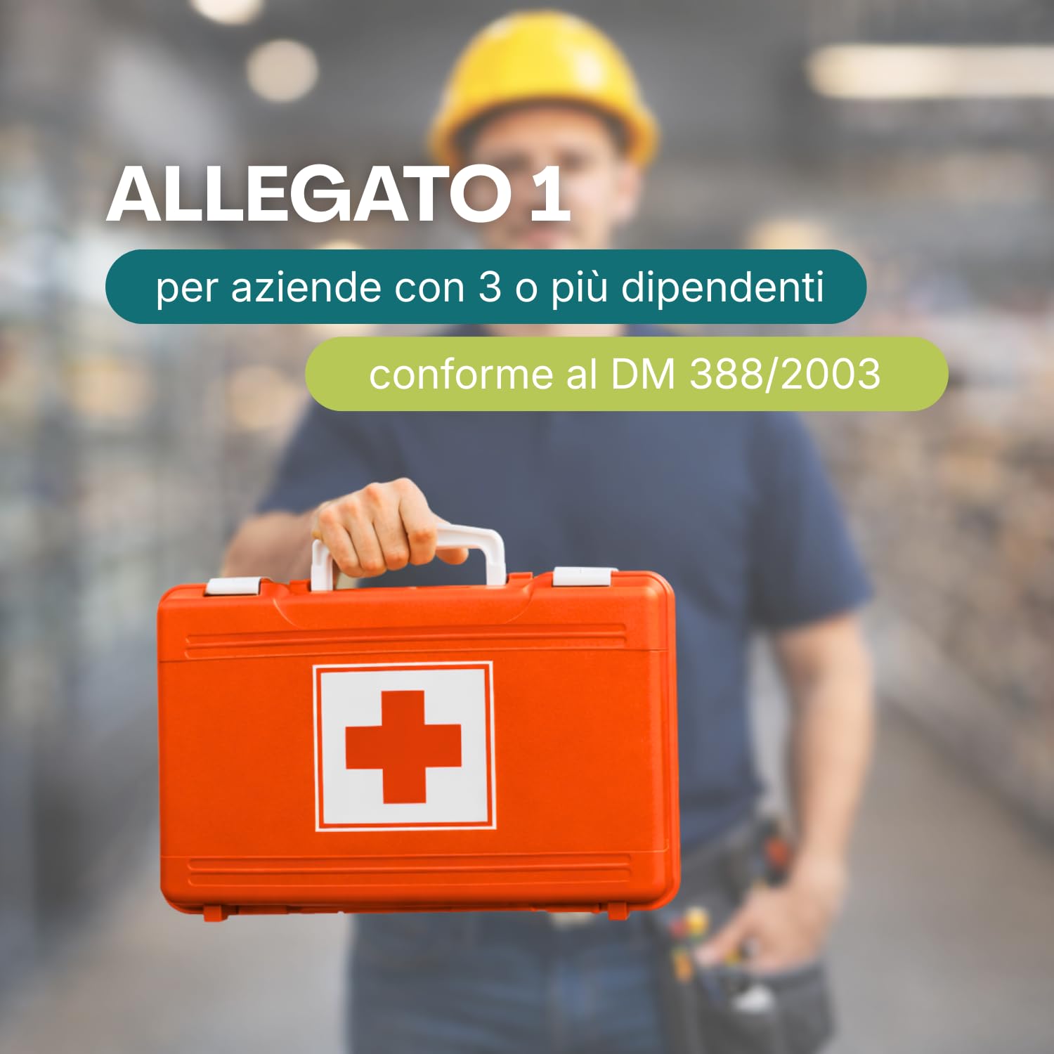 Cassetta Medica di Pronto Soccorso 255ST, Valigetta Rossa di Primo Soccorso ALLEGATO 1 per Aziende oltre 3 Lavoratori Dipendenti, Conforme DM 388/2003, per casa e lavoro