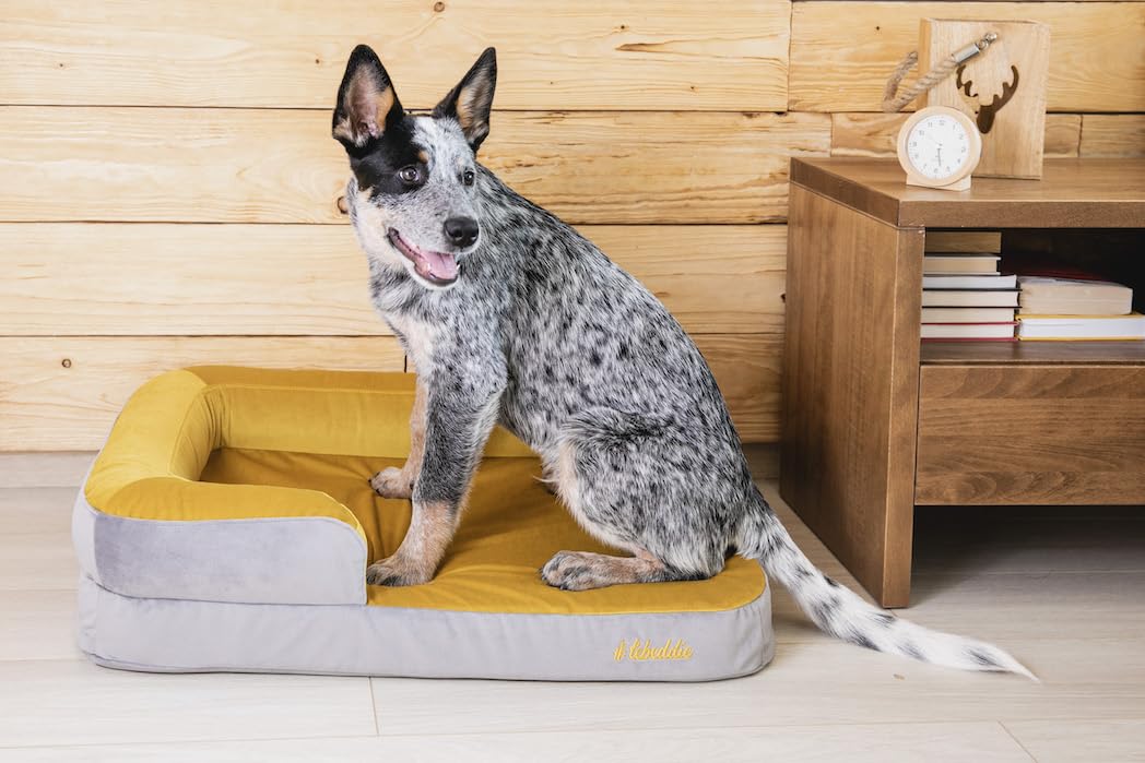 Cama ortopédica para perros de espuma viscoelástica con funda extraíble lavable, colchón de doble capa de alta calidad, protector de colchón impermeable, para perros de todos los tamaños (XL, gris y