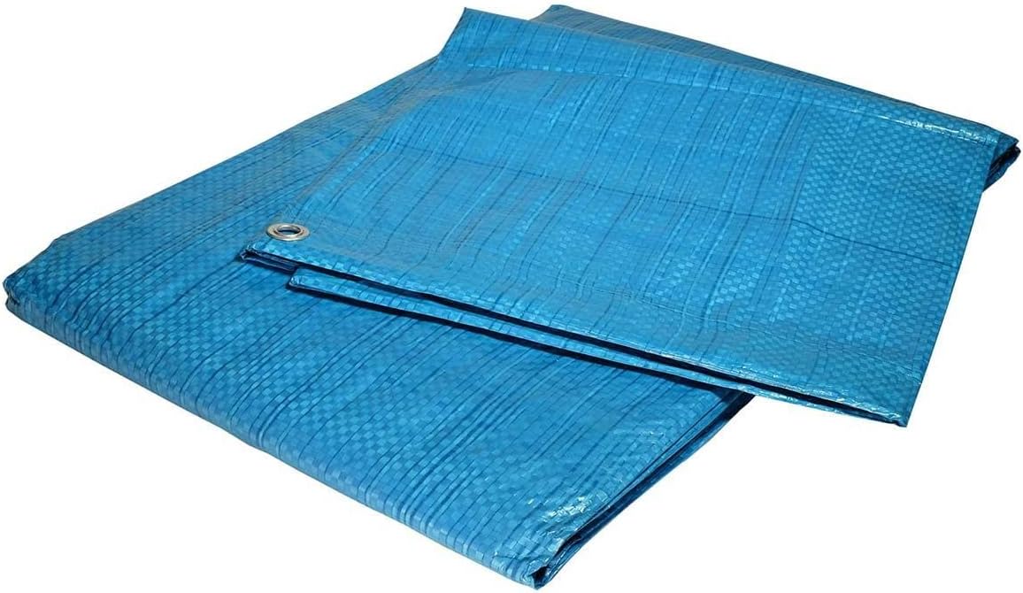 Telo Cantiere 8x12 m Blu - Tecplast EC80CH - Economico
