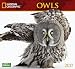 National Geographic Owls 2017 Wall Calendar