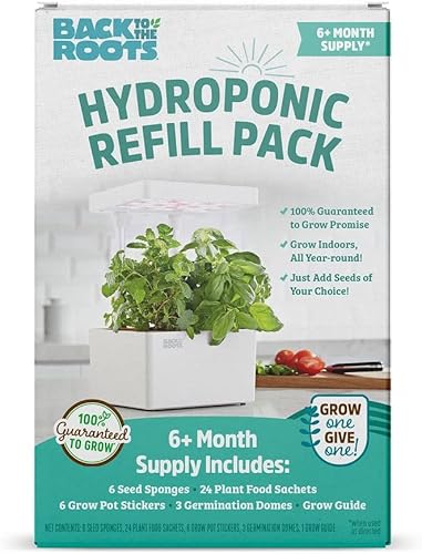 Miniatura 7 de Back to the Roots Kit de cultivo de autorriego - Macetas hidropónicas de vidrio para suculentas y cactus - Sistema de autorriego sin complicaciones