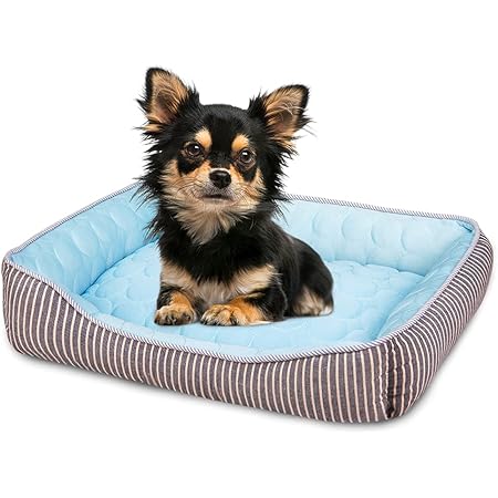 Amazon Co Jp ニトリ Nクール 犬 猫用ペット敷パッド ブルー 接触冷感 ひんやり 熱中症対策 抗菌防臭 21年 ペット用品