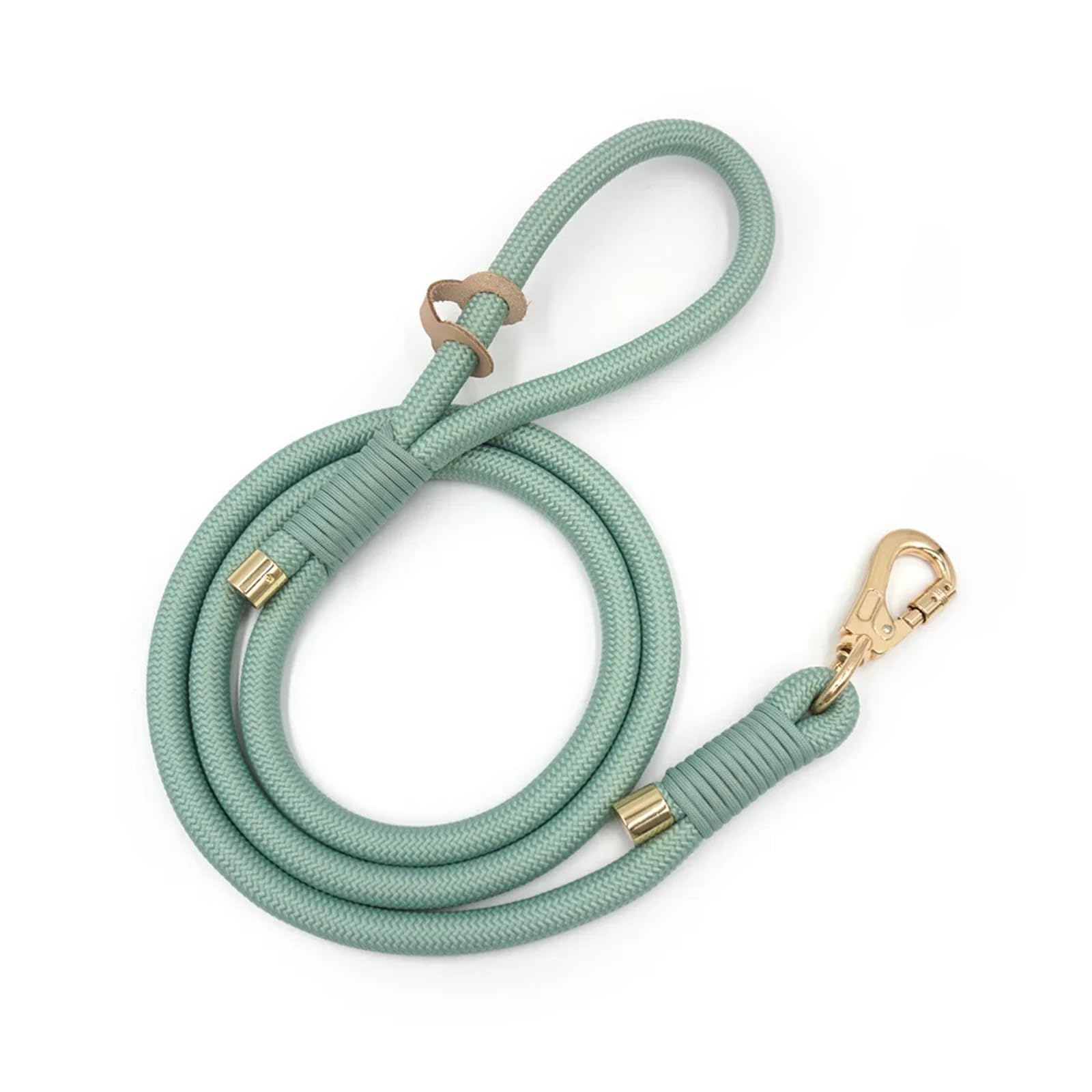 Collier pour chien XS et laisse 150cm pour flâner au parc en été