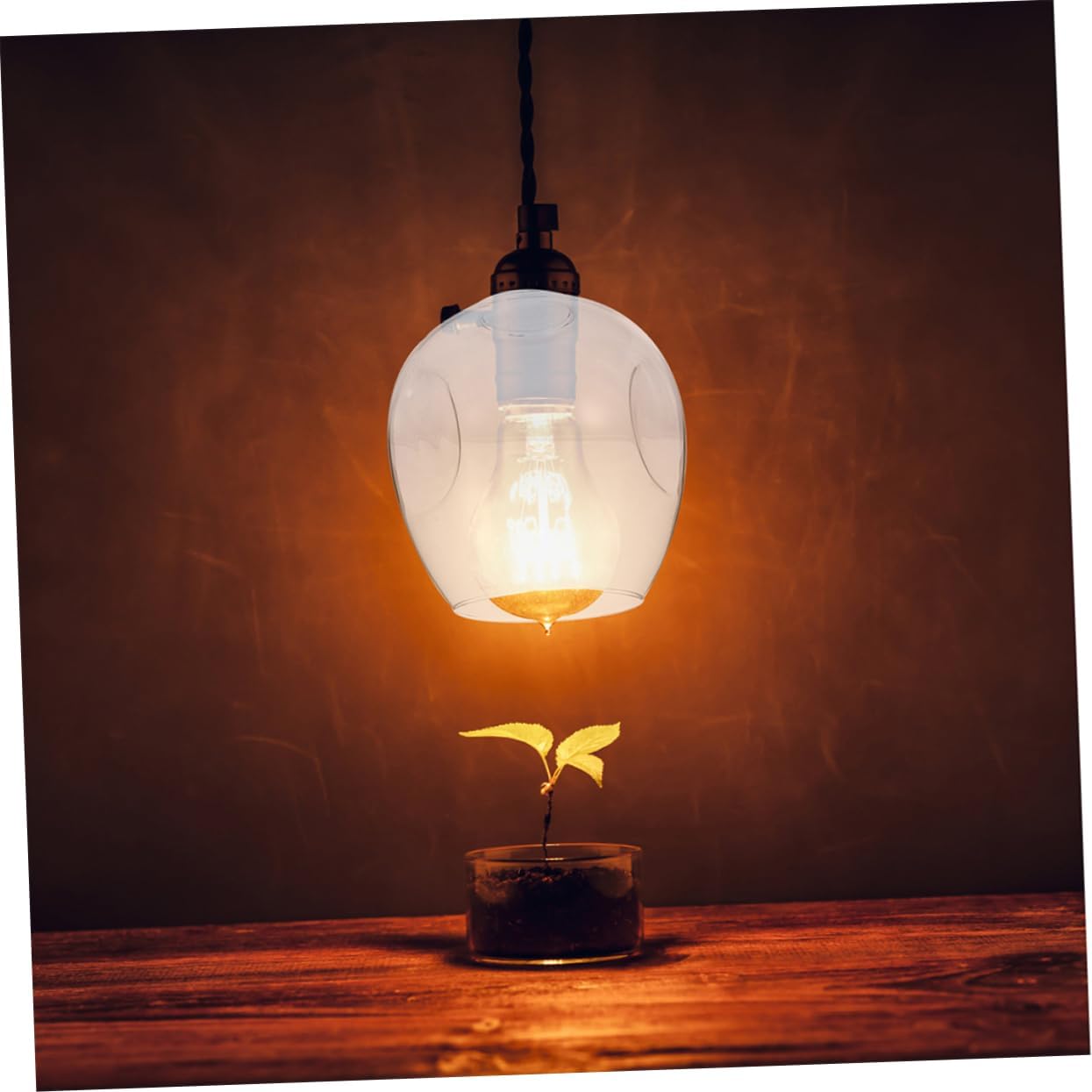 LIFKOME Glass Lamp Shade Replacement for Ceiling Lights 2-Piece Globe Light Fixture Compatible Pendant and Sconce Lighting Double Hole Design