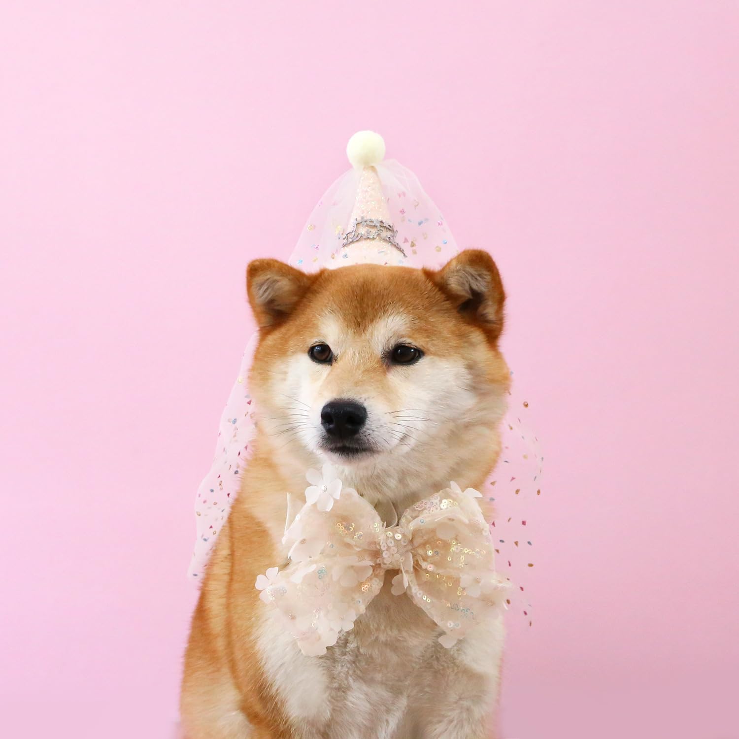 L'EEREYDASCat Bithday Hat Bowtie 2 Pcs Set, Pet Birthday Princess Hat Set for Cat Dogs Party Dress Up Costume Headscarf/Crown Bowknot for Kittens and Puppies