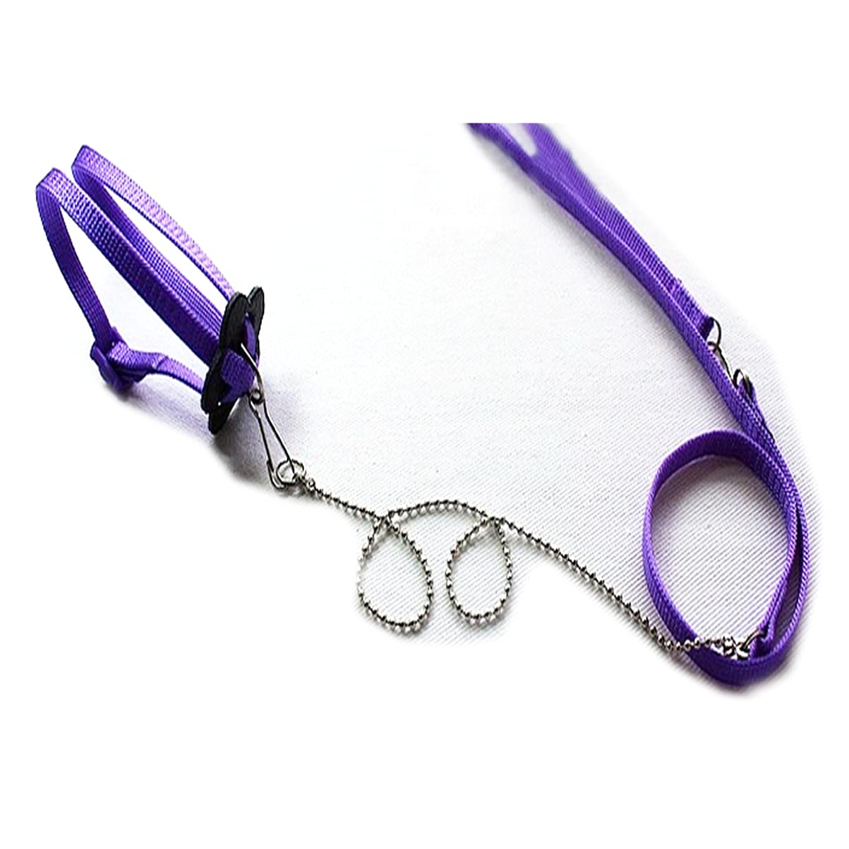 Gatuida Verstellbares Reptiliengeschirr mit 1,2m Leine aus Nylon und Metall für Outdoor Spaziergänge mit Eidechsen und Kleintieren in Violett Zufällige Farbe