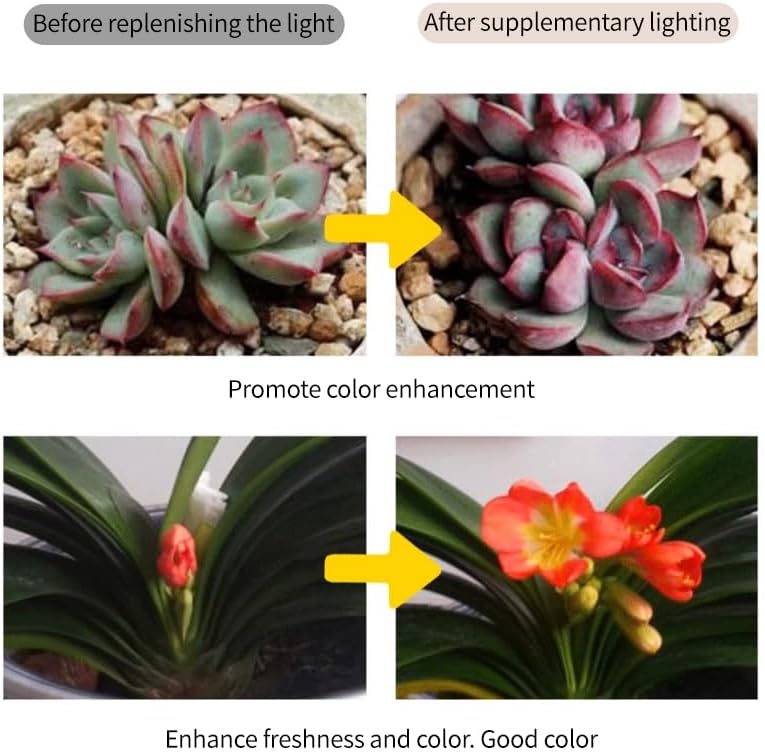 Grow Lights for Indoor Plants, Full Spectrum Panel Lamp with Timer (6H/10H/12H), Auto On/Off, 4 Dimming Levels, Slim Design for Under-Shelf or Wall Mount Use, Daylight White, 2-Pack