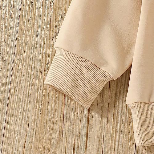 Image of Baby Boy Girl Pumpkin Sweatshirt Tops Toddler Halloween Outfit Long Sleeve Crewneck Pullover Sweater Shirt Fall Clothes