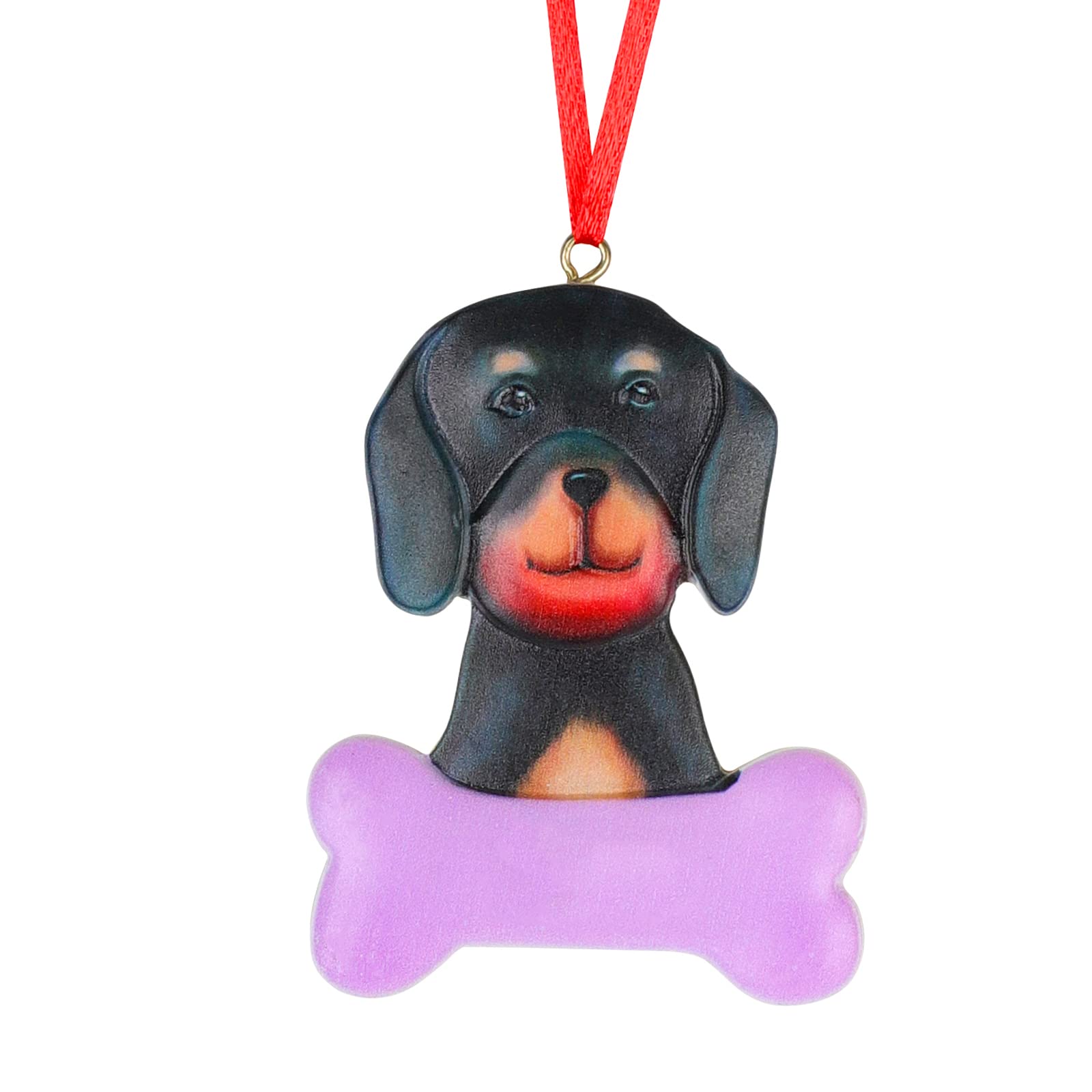 Photo 1 of 10 item Misc Bundle Bag