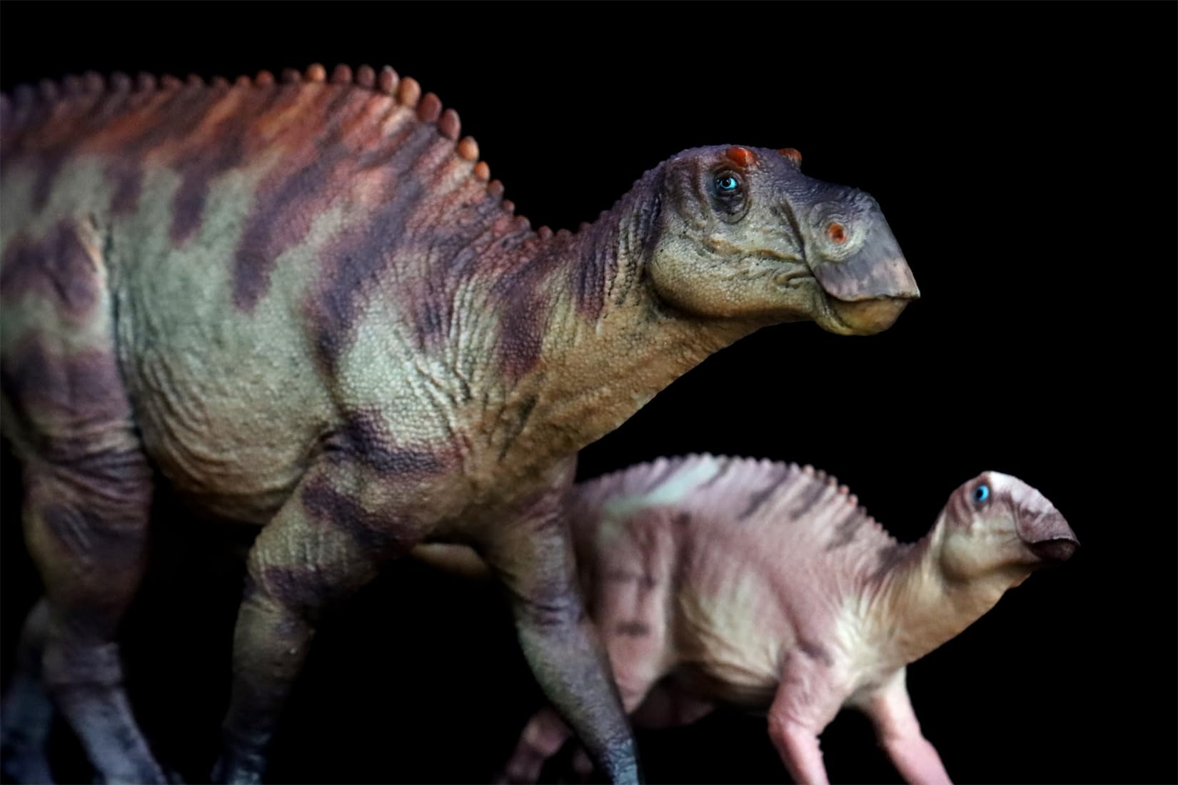 AMITD Figura de acción de dinosaurio de Maiasaura Mother and Son a escala 1:35 (rojo con caja)