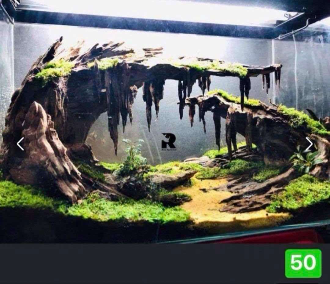 盆栽流木 水草用の 流木 流木アクアリウム パルダリウム マシンガン