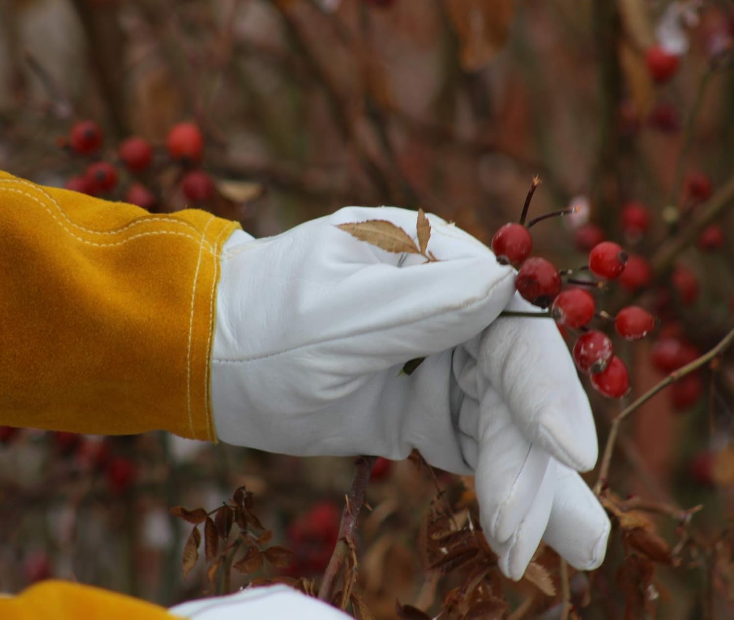 Garden Gloves Thorn Proof Rose Pruning XS Small Medium Large XL XXL 3XL