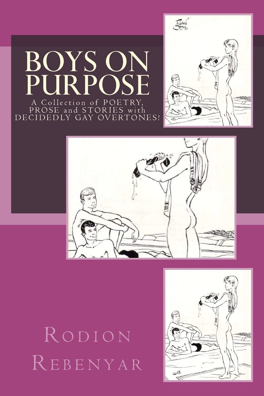 Boys On Purpose: A Collection of Poetry, Prose and Stories with Decidedly Gay Overtones!