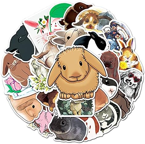 Affoto Cute Rabbit Vinyl Stickers 50 Packs for Laptop Water Bottles Bike Skateboard Luggage Window Bumper Wall Computer Bunny Stickers DIY Decoration as Gifts for Kids Girls Teens