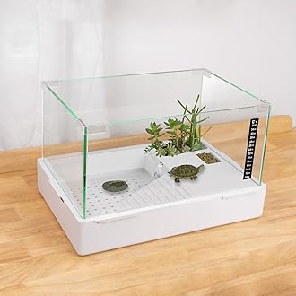 BETAZOOER Turtle Tank with Adjustable Water Pump Filter, Full View Visually Tortoise Aquarium Habitat, Glass Material Easy Changing Water&Clean for Small Amphibious Creatures Reptiles (23"×13.5"×10")