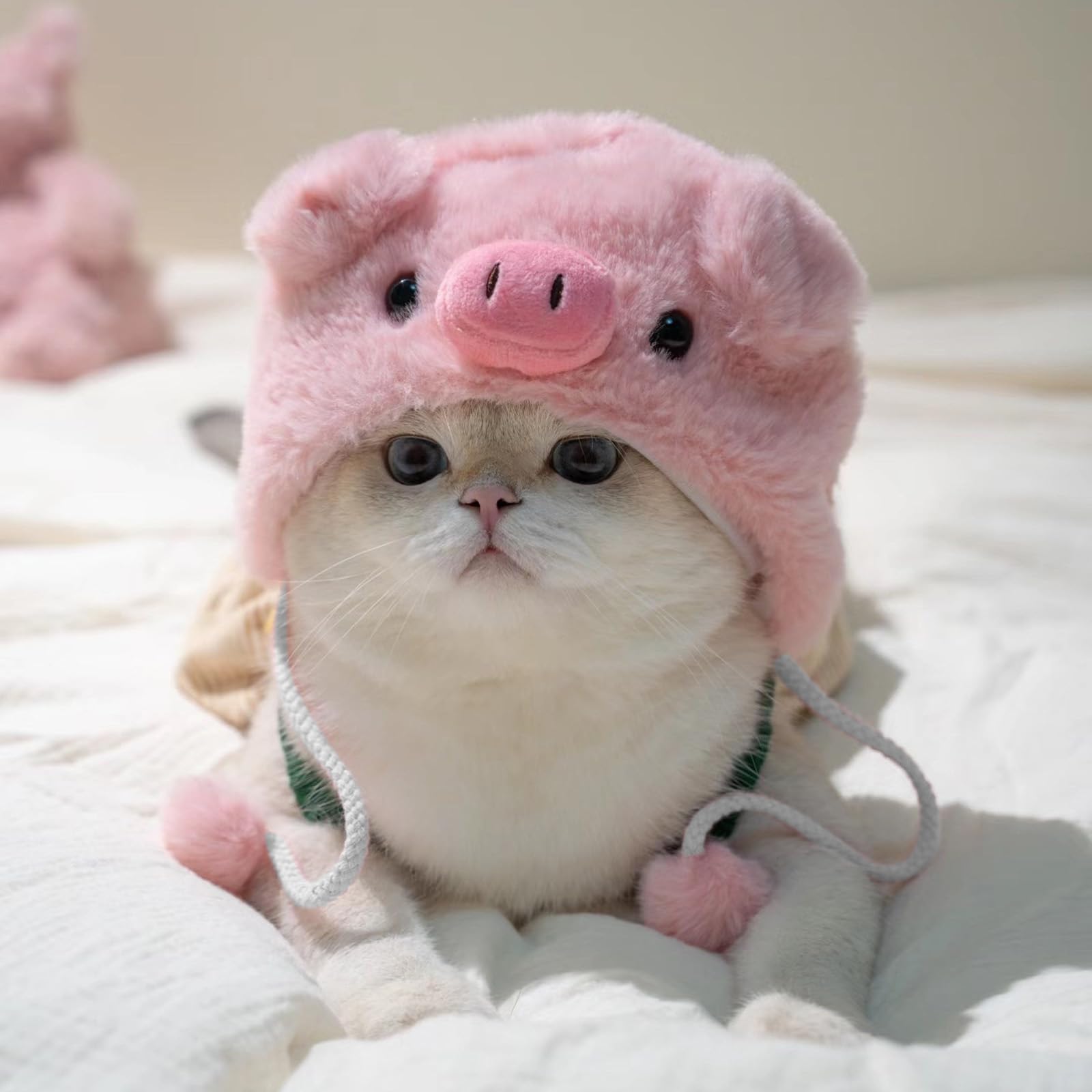 2 Pezzi Cappello Gatto, Morbido Peluche Cappelli per Gatti, Adorabile Cappello per Gatto, Modelli con Pulcini e Maialino Cappellino gatto, Cappellino per Gatti Copricapo Accessori