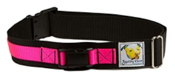 Squishy Face Studio Hands Free Dog Leash Belt - Small-Medium - Neon Pink