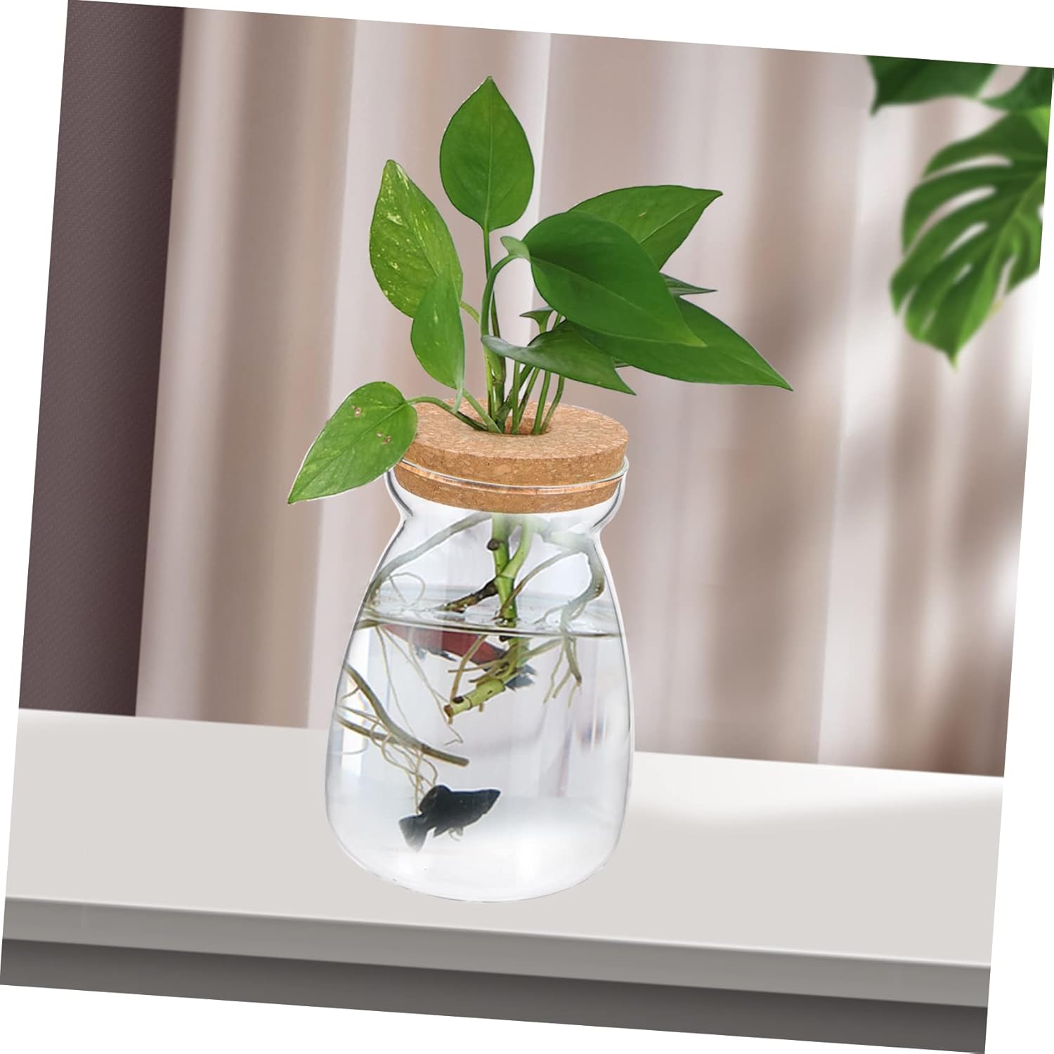 BESPORTBLE Large Glass Terrarium Jar with Lid for Hydroponic Succulent Plants Indoor Miniature Garden Container Modern Transparent Plant Vase for Home Decor