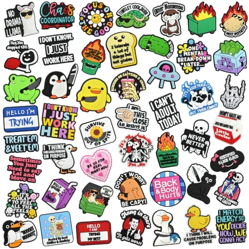 Image of Funny Pins Bulk for Adult, 20 /30 /50PCS Random Different Humor Pins Fun Badge Lapel Pin for Backpacks /Jackets /Hats /Bags Women Men Workers Gifts