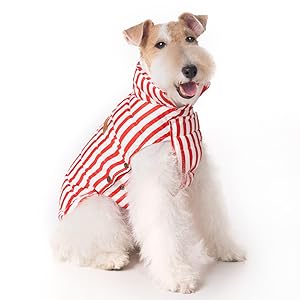 SPACE LION Dog Puffer Jacket, Down Winter Coat, Durable Outdoor Coat for Cold and Windy Conditions, Lightweight & Adjustable Fit Coats for Medium Dogs, (RedStripe, Size 14 Gift Box)