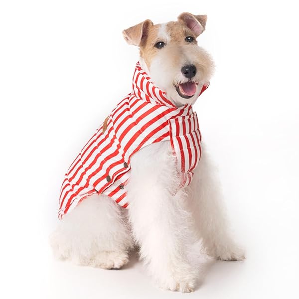 SPACE LION Dog Puffer Jacket, Down Winter Coat, Durable Outdoor Coat for Cold and Windy Conditions, Lightweight & Adjustable Fit Coats for Medium Dogs, (RedStripe, Size 14 Gift Box)