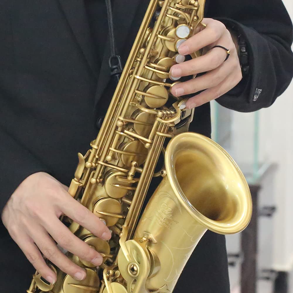 Rollins Saxophone alto RSA-X5,E flat Selmer 54-Key,Matière laiton,Or