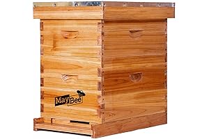 8-Frame Deep Brood Box: Essentials for the Beekeeping Enthusiast