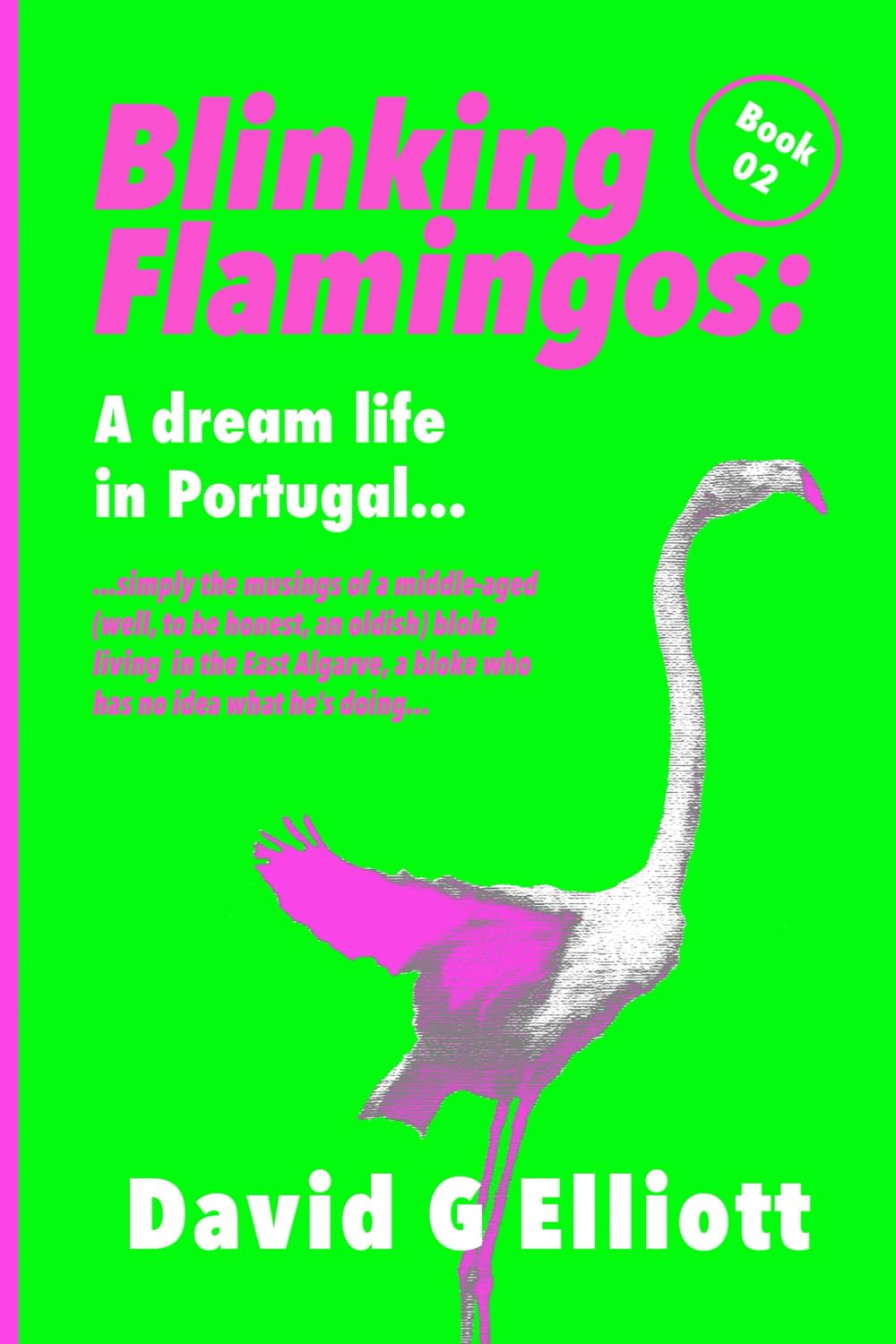 A dream life in Portugal: Continuing my new life in the Algarve: 02 (Blinking Flamingos)