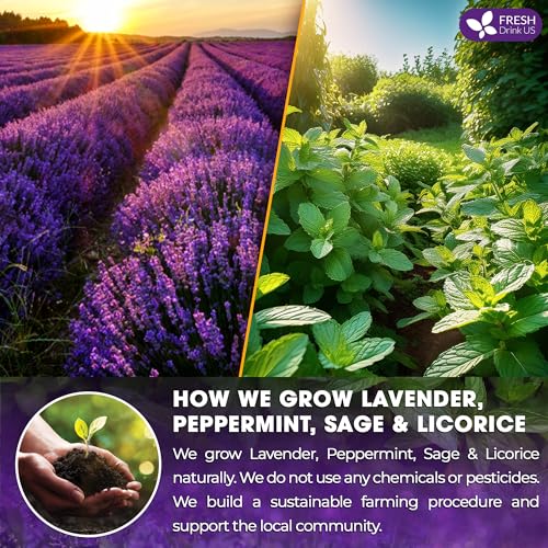 Image of FreshDrinkUS, Premium 75 Tea Bags Lavender Mint Tea, 100% Natural, Blend of Lavender, Peppermint, Sage and Licorice. Made with Natural Material Tea Bags. No Sugar, No Caffeine, Vegan.