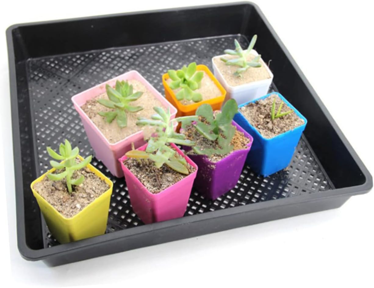 5Pcs Plant Growing Trays Durable Nursery Tray for Seed Germination and Succulent Propagation for Indoor Gardening and Home Seed Starting