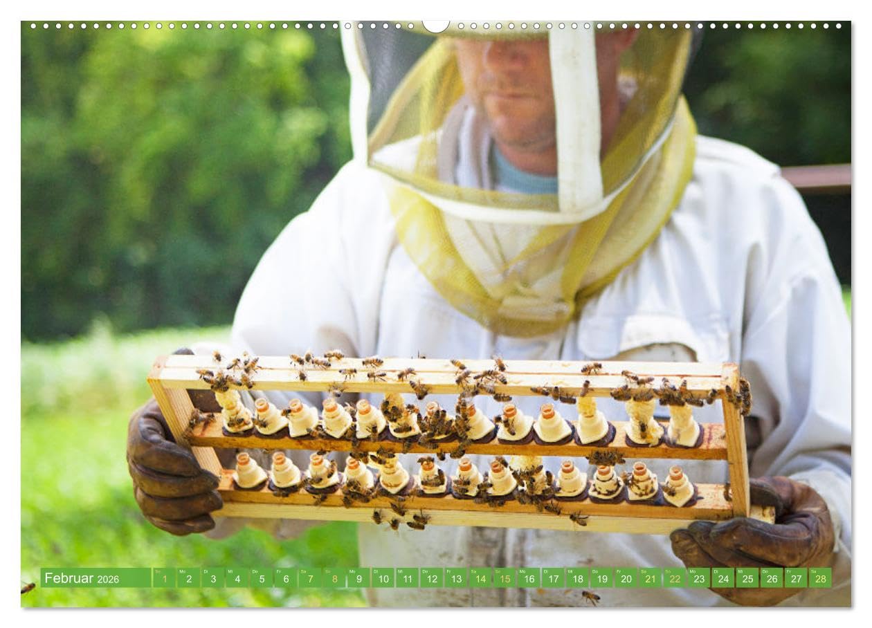 Der Imker: Leidenschaft für die Bienen (hochwertiger Premium Wandkalender 2026 DIN A2 quer), Kunstdruck in Hochglanz: Die fleißigen Bienen: Blumes Liebling im Garten (CALVENDO Tiere)