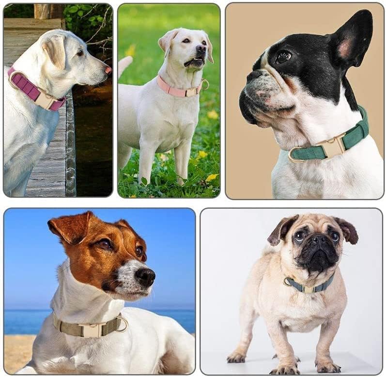 Miniatura 6 de Collar de algodón suave para perro con hebilla de metal, ajustable, resistente, cómodo, collares de pana para perros pequeños, medianos y grandes,