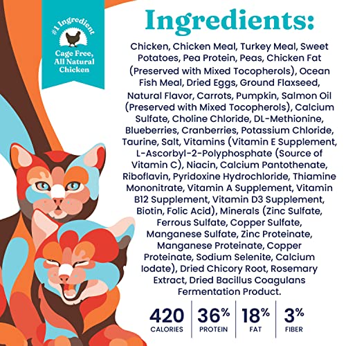 Solid Gold Dry Kitten Food - Made With Real Chicken And Sweet Potato - Touch Of Heaven Grain Free Dry Cat Food For Kittens - Natural Support For Bone, Joint And Immune System Development #TOP5