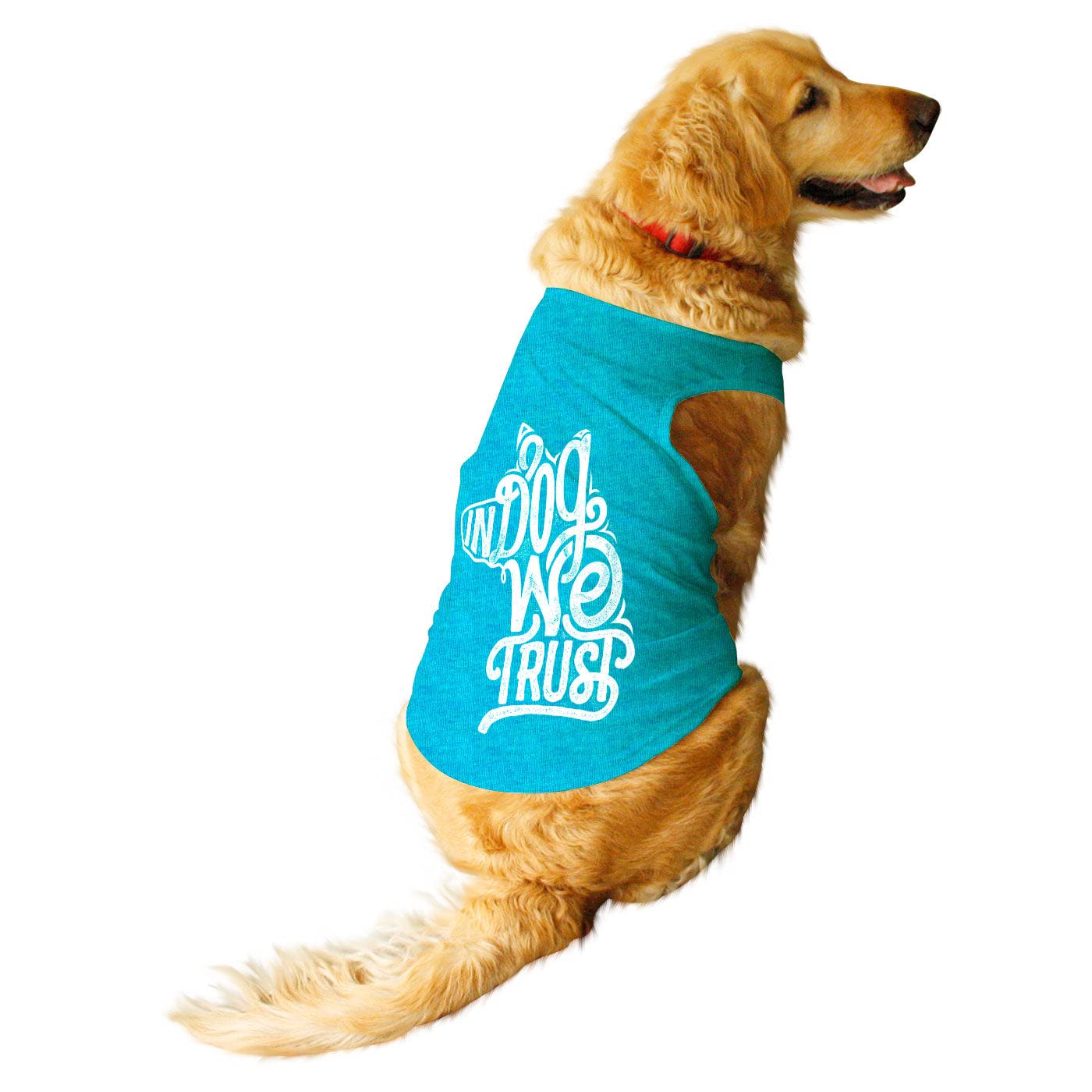 RuseRuse Pets in Dog We Trust Printed Round Neck Sleeveless Summer Dog Vest/Tank T-Shirt/Tees/Apparel/Clothes Gift for Small and Big Dogs (Steel Blue) XL