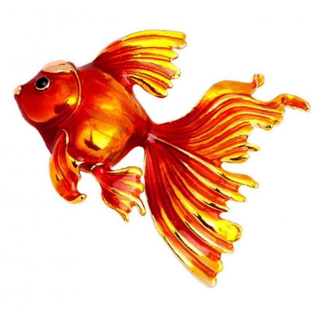海洋金魚 【公式通販】