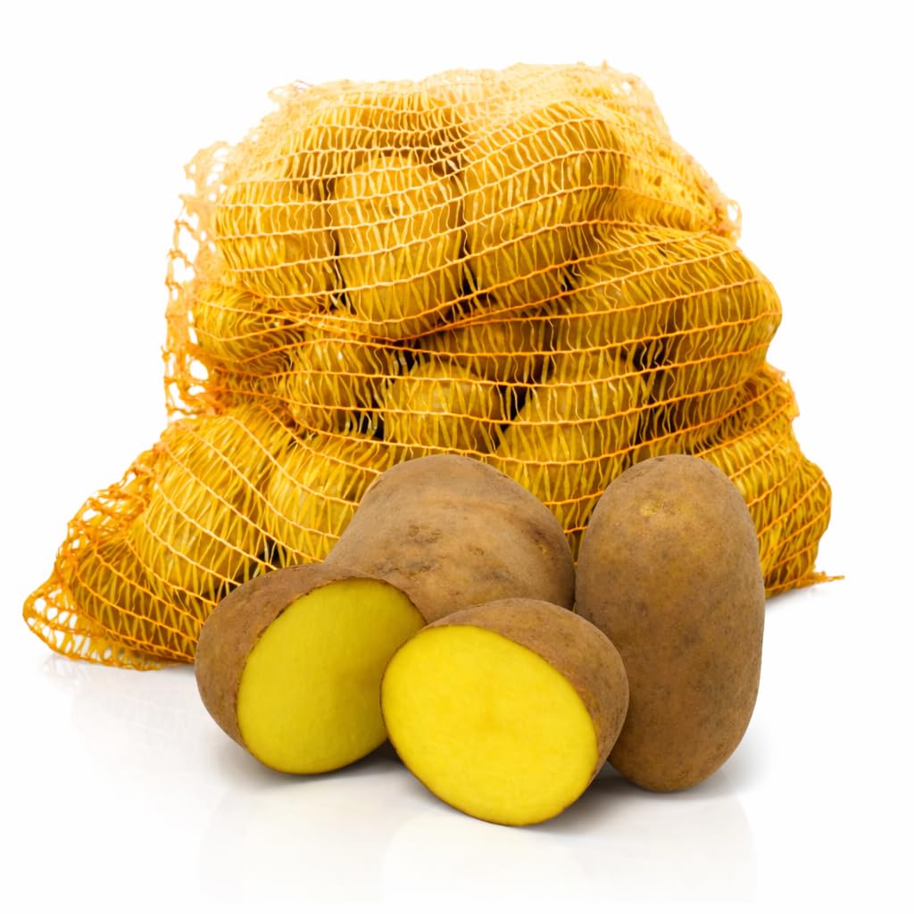 Speisekartoffeln Belana 10kg | festkochend & gelbfleischig | Salzkartoffeln, Kartoffelsalat, Gratin, Ofen- u. Pellkartoffeln | sehr lagerfähige Einkellerkartoffel